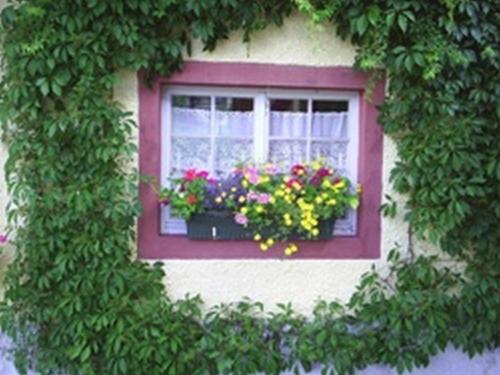 Maison d'hôtes Pension Sonne Hohlgasse 1 Rickenbach