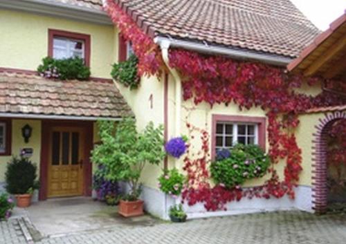Pension Sonne Rickenbach allemagne