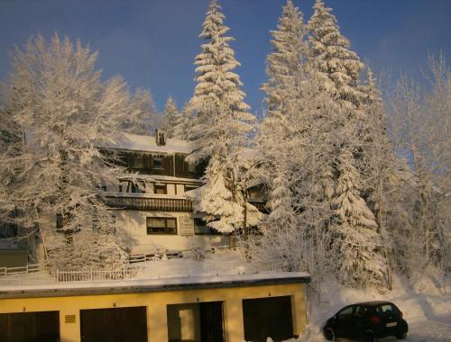 Maison d'hôtes Pension Stiegelmeier Astenweg 1 Winterberg