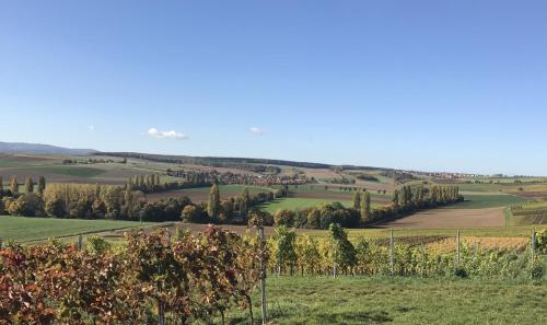 Maison d'hôtes Pension und Weingut Hirschhof Alzeyer Strasse 1 Offenheim