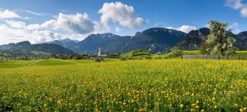 Pension Vendel Pfronten allemagne