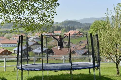 Pension Waldkristall Frauenau allemagne