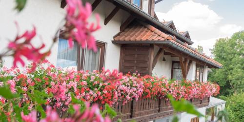 Pension Zum Ebenstein am Donausteig Untergriesbach allemagne
