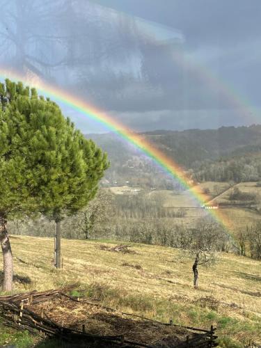 Périgord - Chez Briit Plazac france