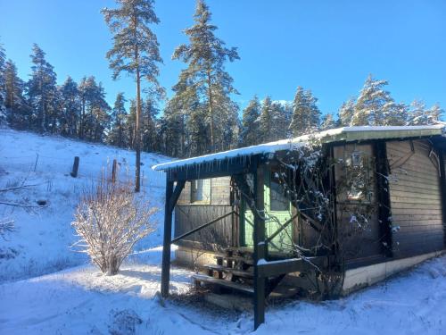 Chalet Petit chalet pour amoureux de la nature au « Domaine de Tara » Domaine de Tara 7481 Route de Thorenc Gréolières