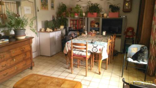 petit chez soi dans mon petit chez moi Biganos france