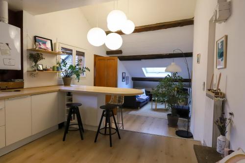 Appartement Petit-Coeur charmant en centre ville Carnot, 18 Annecy