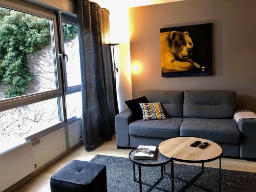 Petit loft Drouot Nancy france