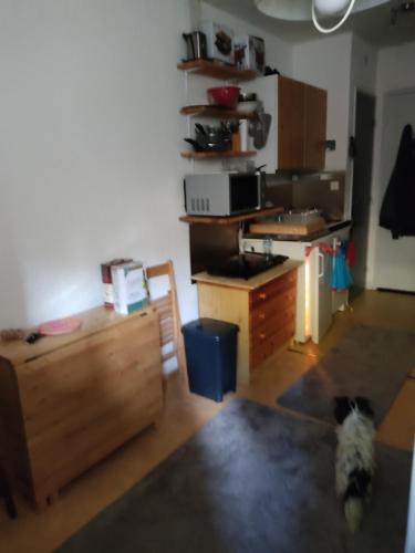 Appartement PETIT STUDIO 17 M2 La faitière, 1er étage La Foux