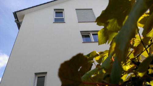 Séjour chez l'habitant Petite Bellevue II Hardstaffeln 10 Baden-Baden