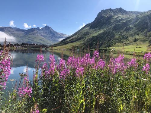 Appartement Phoenix 101 Rue de la Poste Tignes