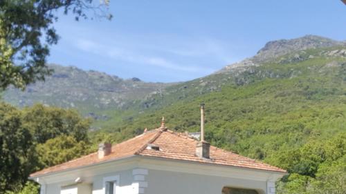 Pietracorbara les Chênes Oreta france