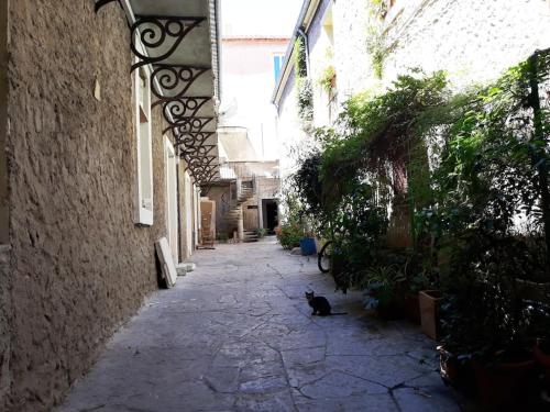 Appartement Place de la Mairie : joli 2 pièces climatisé ! 3 Rue Pierre Brossolette Sète