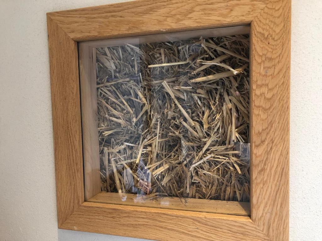 Séjour chez l'habitant Poelyck: Übernachten in einem Strohhaus, umgeben von purer Natur! Im Leursbusch 4 OT Poelyck, 47647 Kerken