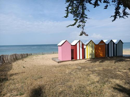 Pomme de Pin et Mimosa Grand-Village-Plage france