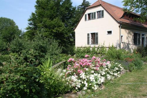 Poncet´sches Herrenhaus Dresde allemagne