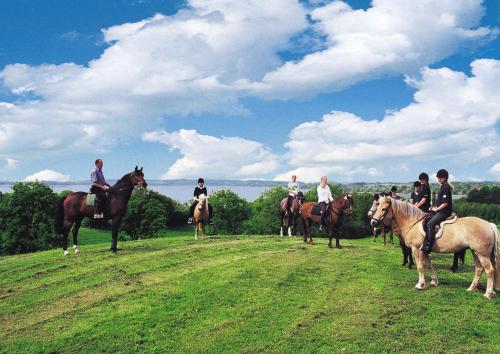 Séjour à la ferme Ponyhof Naeve am Wittensee Dorfstr. 23 Groß Wittensee