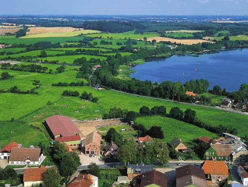 Ponyhof Naeve am Wittensee Groß Wittensee allemagne