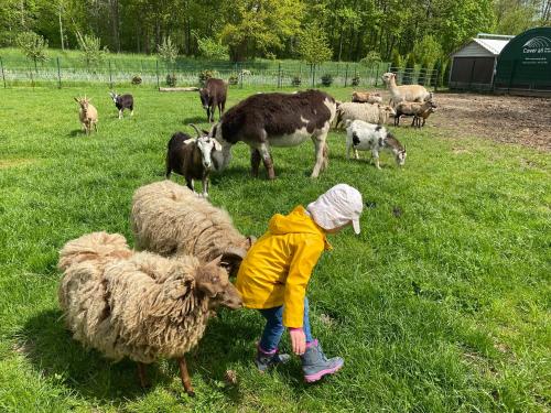 Maisons de vacances Poppes Ranch Bauerhof & Campingplätze 8 Ausbau Kanal Zepelin