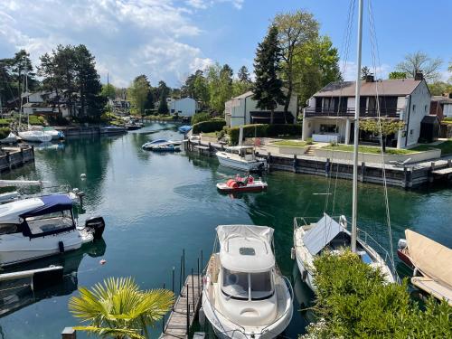 Port Ripaille, les grèbes 24 Thonon-les-Bains france