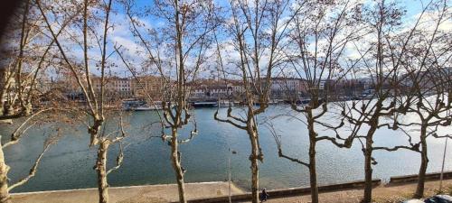 PORTE DU VIEUX LYON, vue sur la saône Lyon france