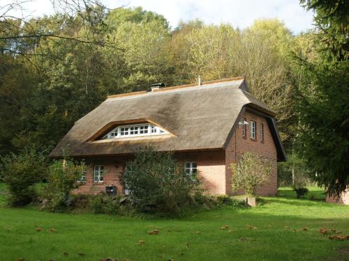 Appartement Premiumwohnung im Biosphärenreservat Kollhof Vilmnitz