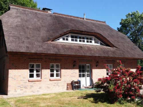 Premiumwohnung im Biosphärenreservat Vilmnitz allemagne