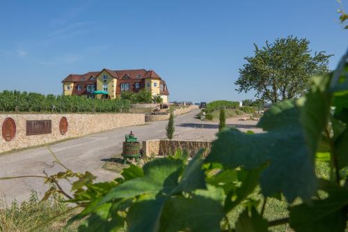 Séjour chez l'habitant Privatweingut Schmidt Auf dem Buck Heitersheim