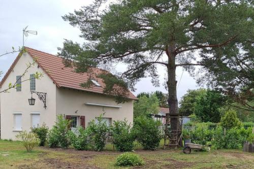 proche chateaux et zoo de beauval: gîte de sologne Pruniers france