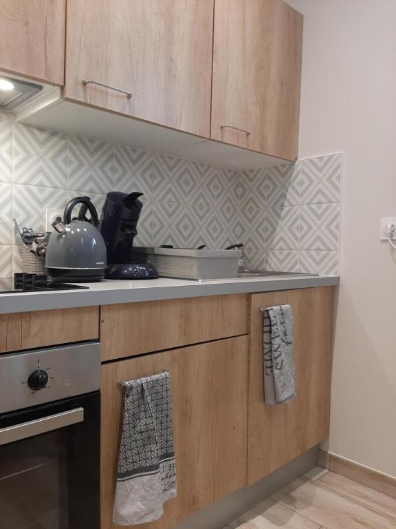 Appartement Proche gare, cosy, courte et moyenne durée 24 Rue Lamartine, 01200 Bellegarde-sur-Valserine