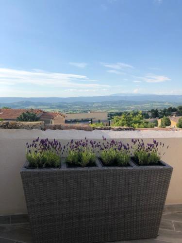 Provence Luberon Bonnieux location gite chez Marcelle Bonnieux france