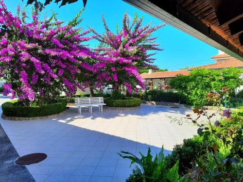 Maison de vacances QM - Quinta da Morgadinha - Casa em Quinta Rural 70 Rua de São Brás Cabeços