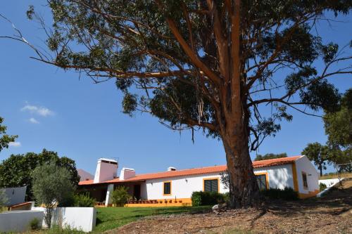 Quinta da Aurora Évora portugal