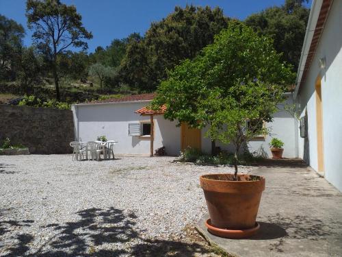 Quinta da Barroquinha Vale de Prazeres portugal