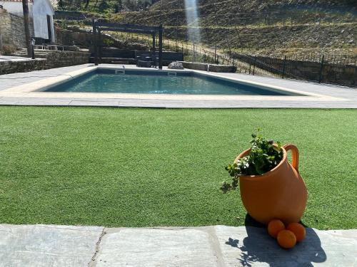 Séjour à la ferme Quinta da Casa Cimeira, Guest House, Wines & Food Rua Cimo do Povo Valença do Douro