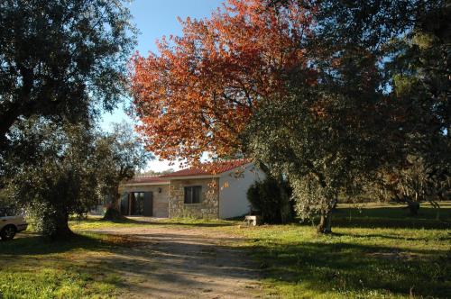 Séjour à la campagne Quinta da Pedra Mija Quinta da Pedra Mija Santar