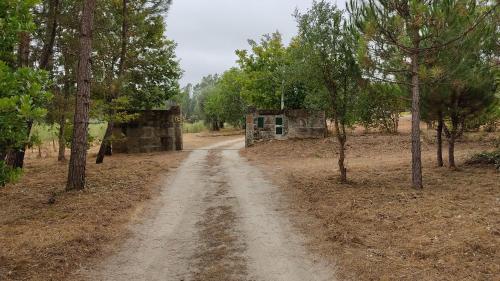 Quinta da Pedra Mija Santar portugal