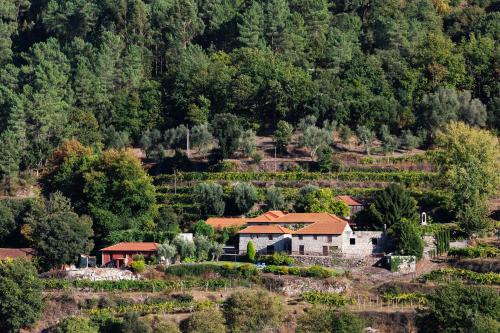 Quinta da Pousadela - Agroturismo Amarante portugal