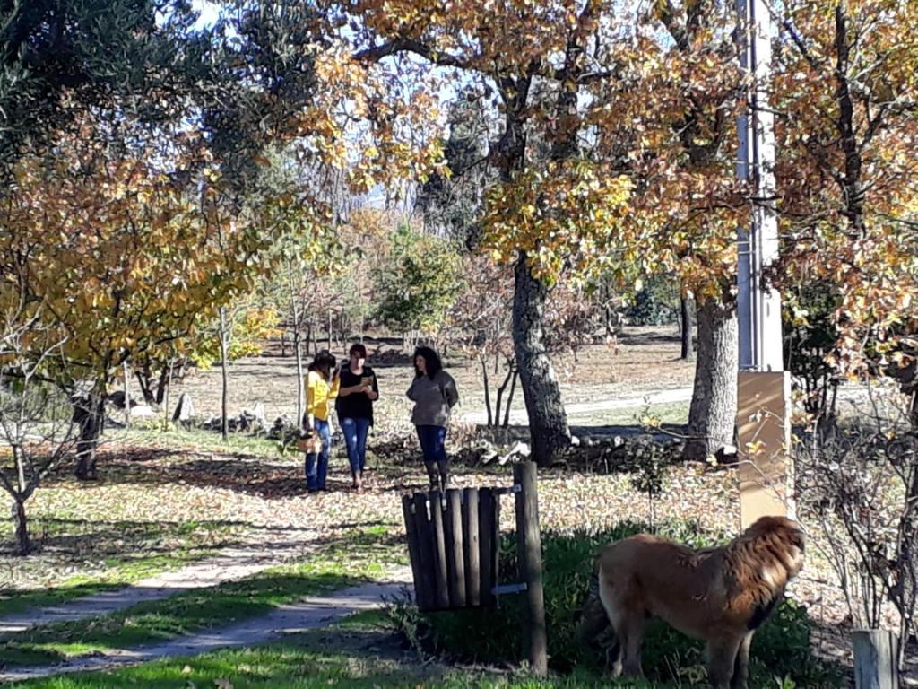 Séjour à la campagne Quinta Damigo Pinhanços, 6270-538 Seia