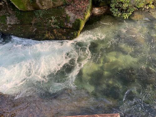 Quinta das Bollótâs Travassós portugal
