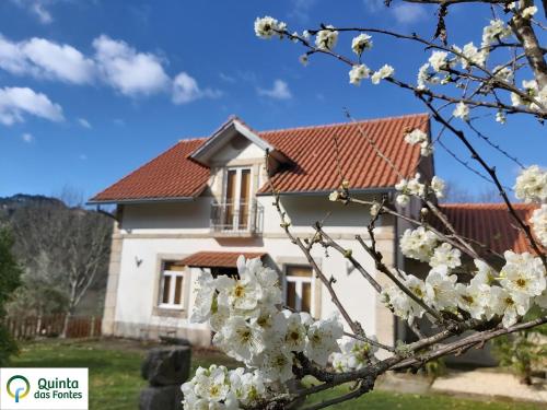 Quinta das Fontes - Alojamento Rústico Local e Turismo Rural São Pedro do Sul portugal