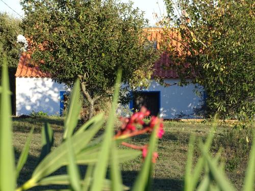 Maison de vacances QUINTA DAS TEIMOSAS by Stay in Alentejo Teimosas Cercal