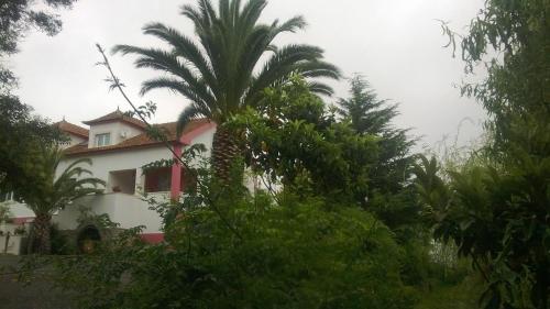 Maison d'hôtes Quinta De Sao Francisco Rua De S. Francisco, Nº4 Sintra