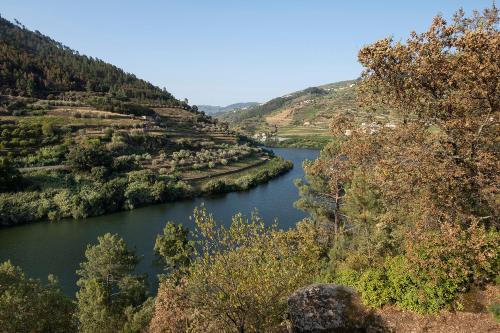 Quinta de São Pedro Barrô portugal