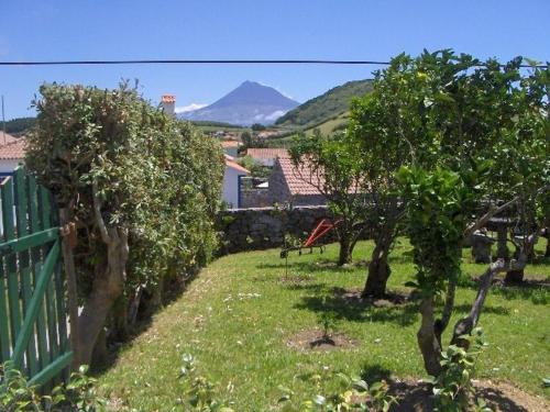 Quinta do Canto Horta portugal