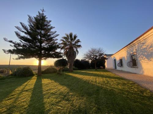 Quinta do Castelo Beja portugal