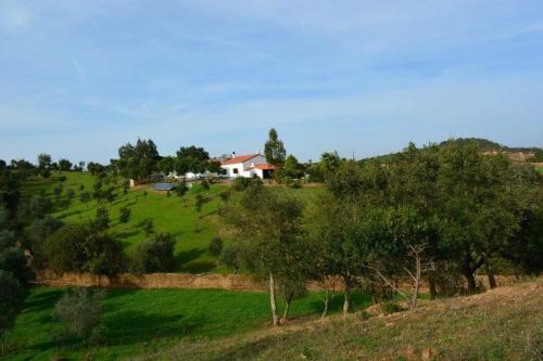 B&B / Chambre d'hôtes Quinta Do Grilo Quinta Do Grilo 9001 Amoreiras