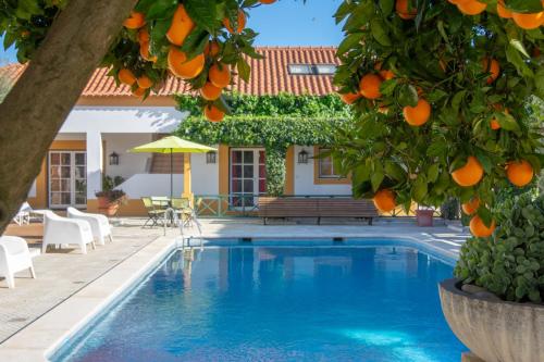 Quinta do Lagar de São José Paialvo portugal