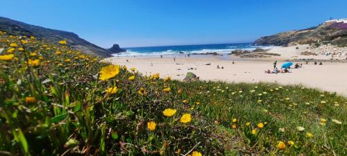 Maisons de vacances Quinta do Paraiso Sitio da Tranca - Apartado 27 São Teotónio