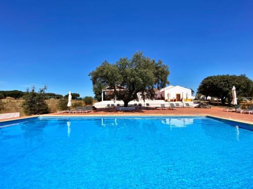 Quinta dos Amarelos Vaiamonte portugal